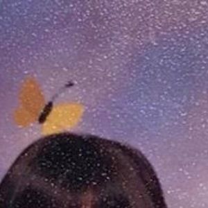 Meet your Posher, Ally